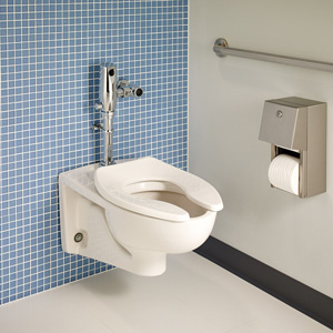 American Standard 2257.101.020 Afwall Elongated Bowl Wall-Mounted Toilet