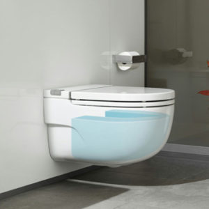 Features to Consider in a Wall Mounted Toilet