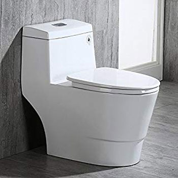 Woodbridge T-0019 Elongated Toilet