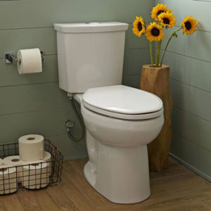 Benefits of Dual Flush Toilet