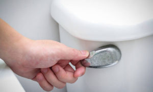 Quiet Flush Toilet Reviews