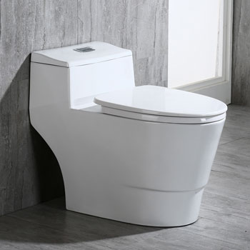 WOODBRIDGE T-0018/B-0735 Dual Flush Elongated Toilet