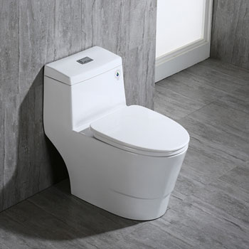 WOODBRIDGE T-0019 Dual Flush Toilet with Soft Closing Seat