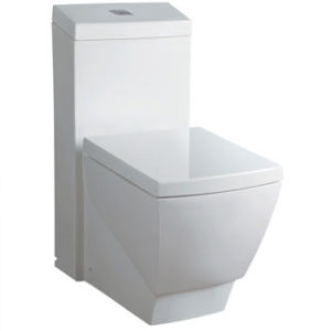 WoodBridge T-0020 One-piece Elongated Dual Flush Toilet