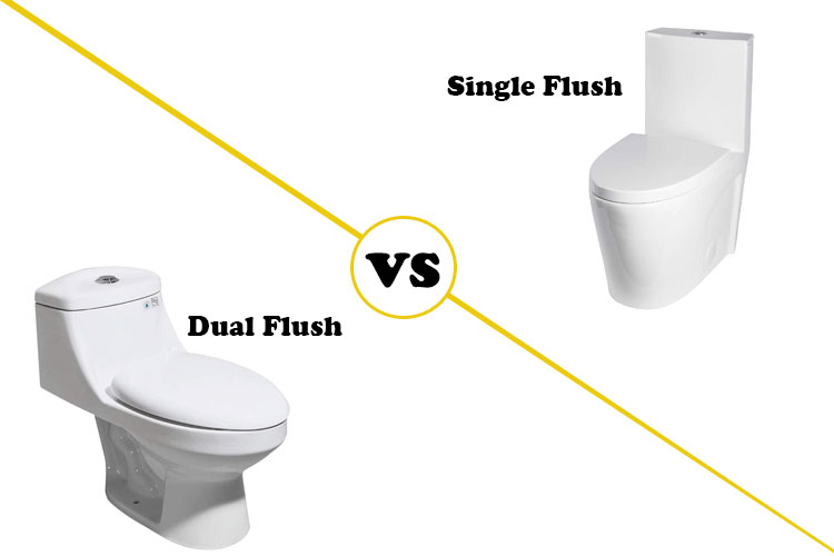 single vs dual flush