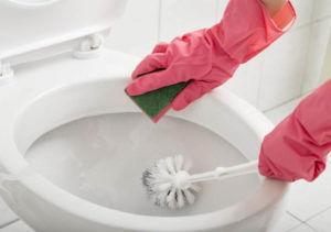 The Toilet Cleaning Process with a Toilet Brush